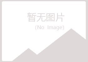 银川西夏易烟能源有限公司